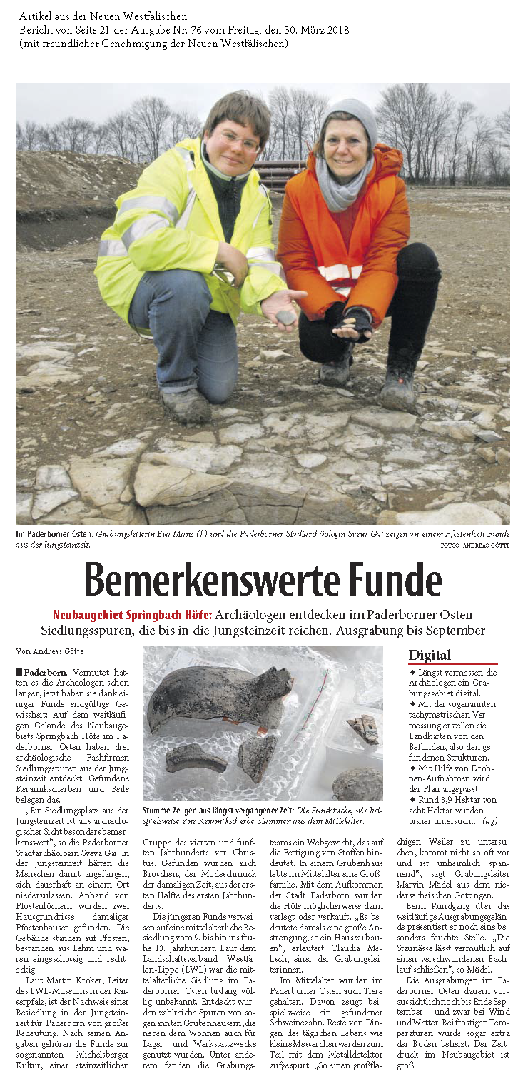 NW Artikel Springbach-Ausgrabungen